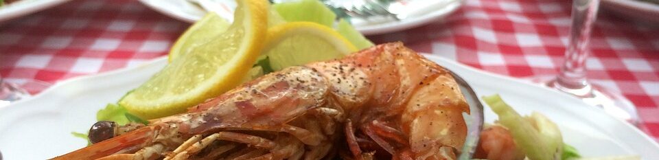 salad, meal, yummy, gamba, calamari, calamari, calamari, calamari, calamari, calamari